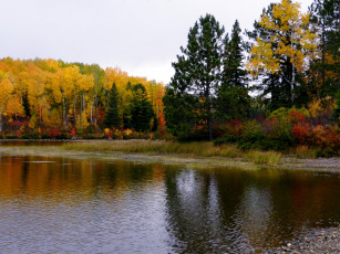 Картинка природа реки озера осень