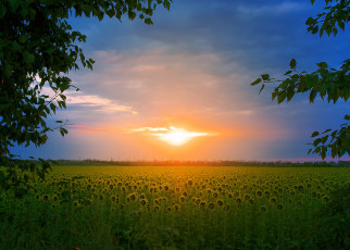 Картинка природа восходы закаты простор