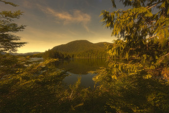 Картинка природа пейзажи простор