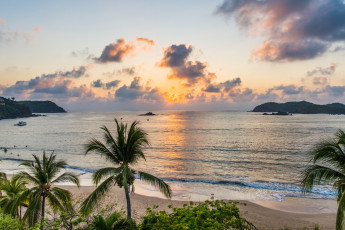 Картинка природа тропики простор