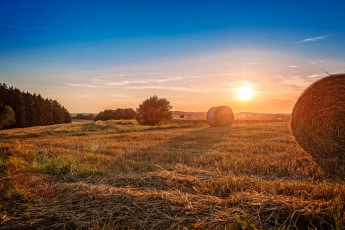 Картинка природа восходы закаты простор