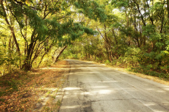 Картинка природа дороги простор