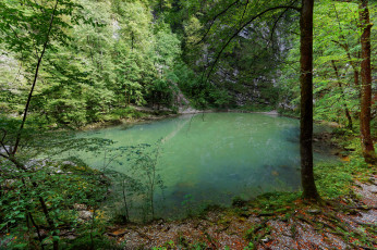 Картинка природа реки озера простор