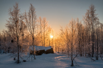 Картинка природа зима простор