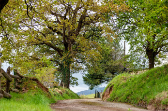 Картинка природа дороги простор