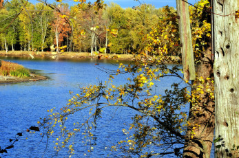 Картинка природа реки озера осень