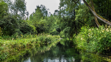 Картинка природа реки озера простор