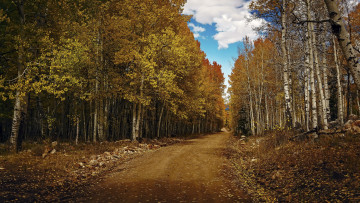 Картинка природа дороги простор