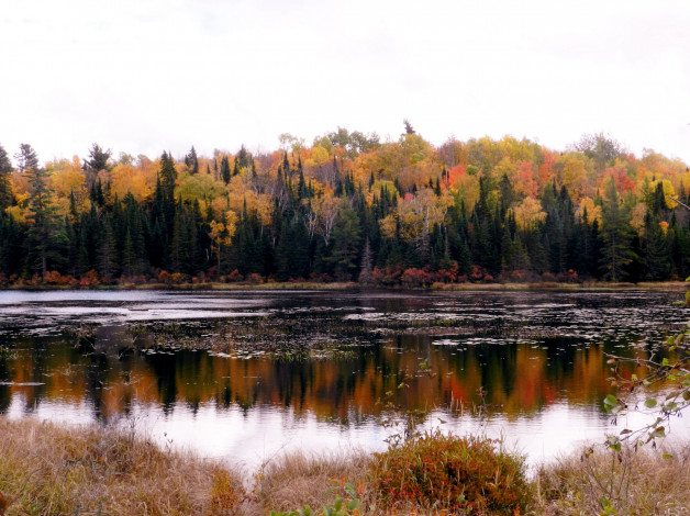Обои картинки фото природа, реки, озера, осень