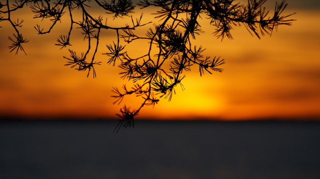 Обои картинки фото природа, восходы, закаты, простор