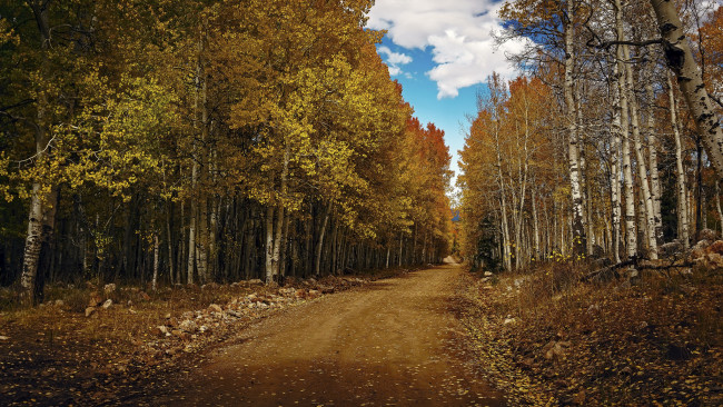 Обои картинки фото природа, дороги, простор