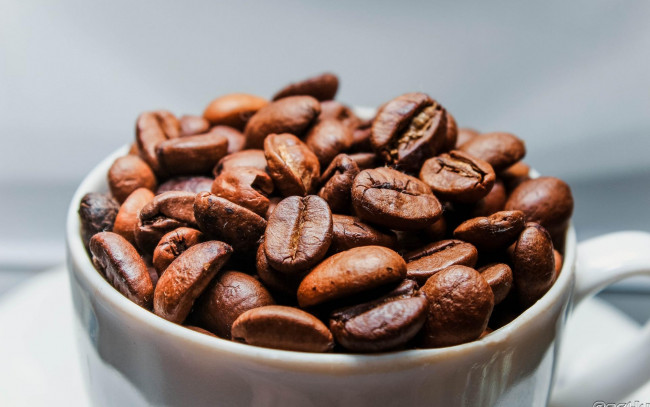 Обои картинки фото еда, кофе,  кофейные зёрна, чашка, кофейные, зерна