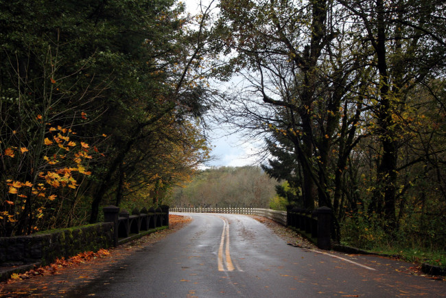 Обои картинки фото природа, дороги, поворот, шоссе