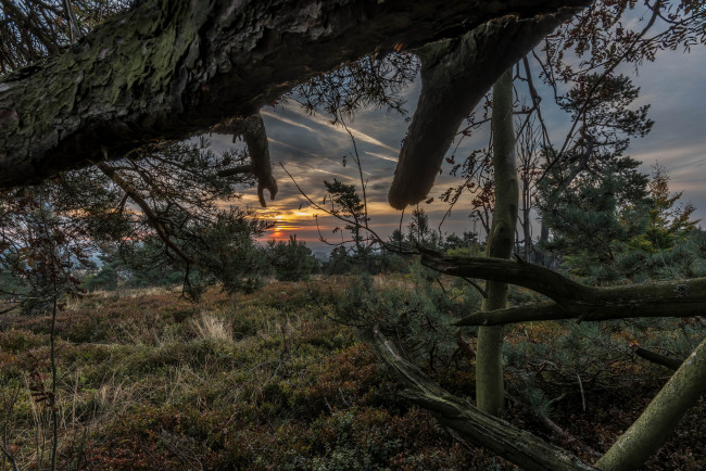 Обои картинки фото природа, пейзажи, простор