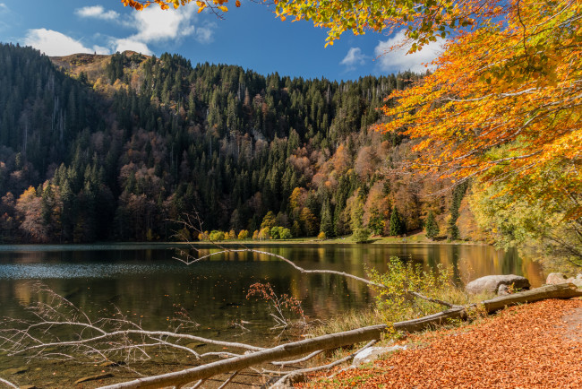 Обои картинки фото природа, реки, озера, простор