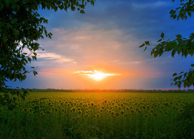 Обои картинки фото природа, восходы, закаты, простор