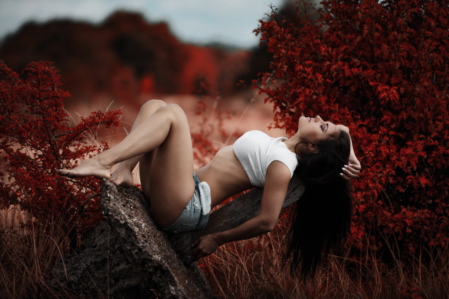 Обои картинки фото девушка, девушки, -unsort , брюнетки, темноволосые, модель, diana, stankejeva