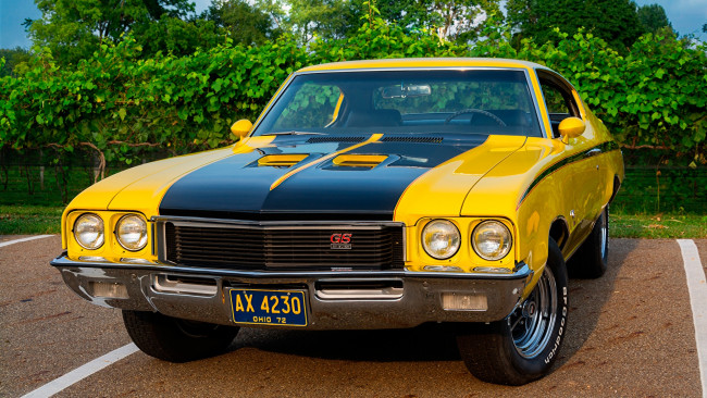 Обои картинки фото автомобили, buick, 1972, gs