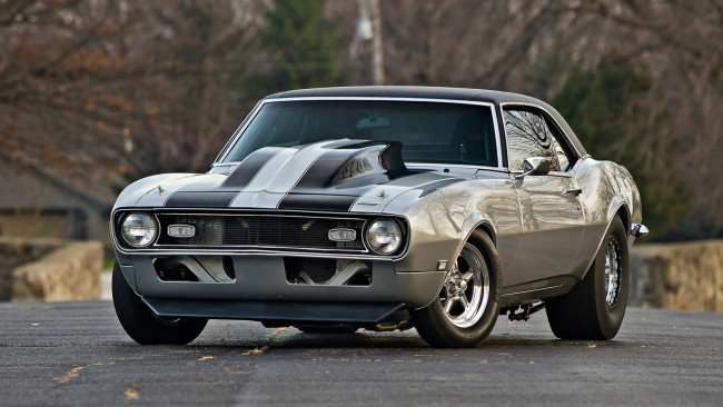 Обои картинки фото автомобили, camaro, 1968, chevrolet