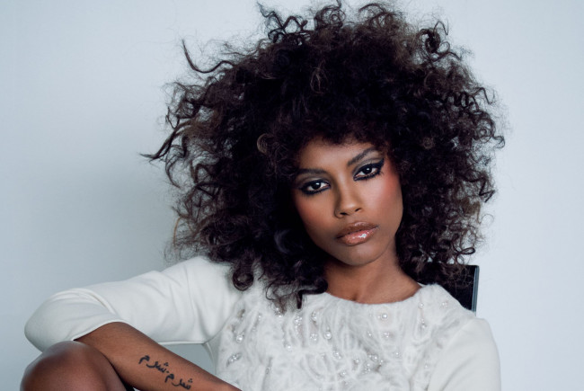 Обои картинки фото sharam diniz, девушки, sharam, diniz, девушка, модель, мулатка, чернокожая, темнокожая, португалия, причёска, макияж, взгляд, поза, портрет