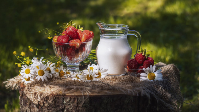 Обои картинки фото еда, киви, ромашки, ваза, клубника, крупная, спелая, кувшин, молоко