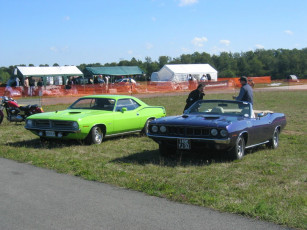 Картинка автомобили разные вместе