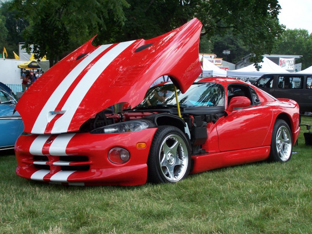 Обои картинки фото автомобили, dodge