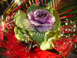 Картинка цветы букеты композиции