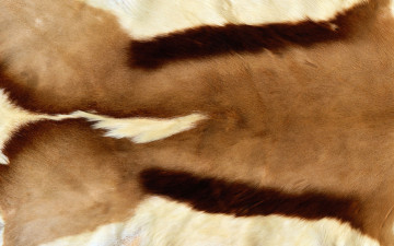 Картинка разное текстуры