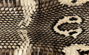 Картинка разное текстуры