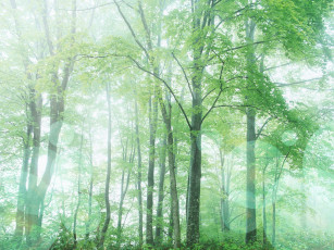 Картинка разное компьютерный дизайн