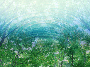 Картинка разное компьютерный дизайн