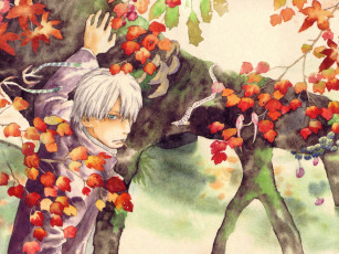 Картинка аниме mushishi