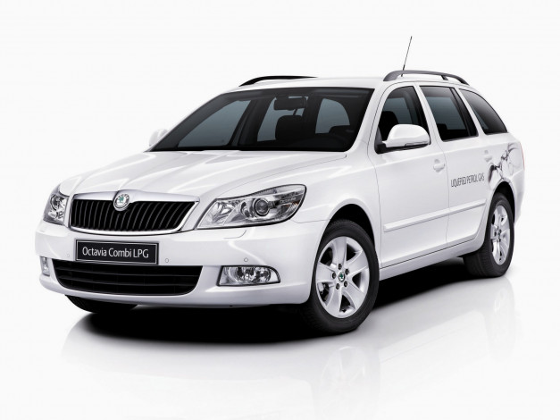 Обои картинки фото автомобили, skoda