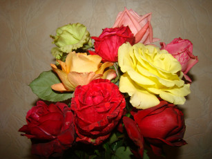 Картинка цветы розы