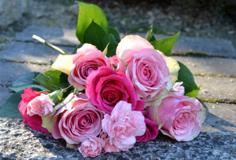 Картинка цветы разные вместе розы гвоздики