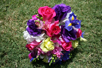 Картинка цветы букеты композиции ирисы розы трава анемоны букет