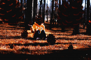 Картинка разное компьютерный дизайн балахон трава парень деревья шишки лес джинсы