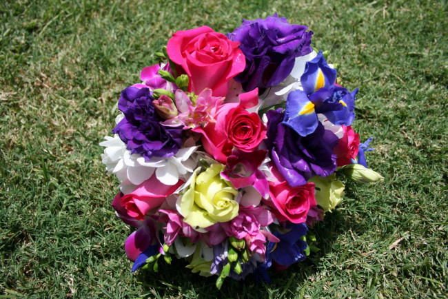 Обои картинки фото цветы, букеты, композиции, ирисы, розы, трава, анемоны, букет