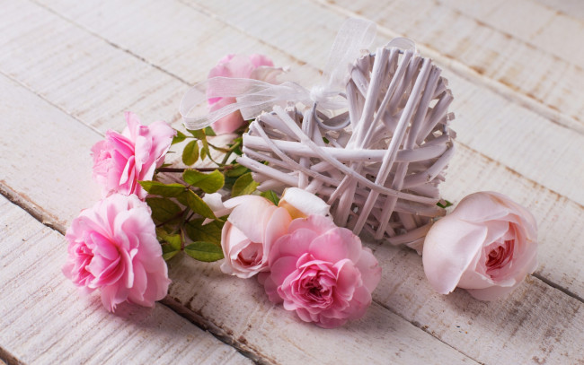 Обои картинки фото цветы, розы, сердце