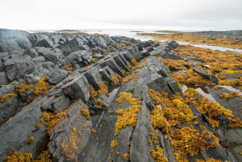 Картинка полуостров+рыбачий природа побережье полуостров рыбачий россия скалы