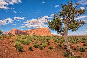 Картинка природа пустыни простор