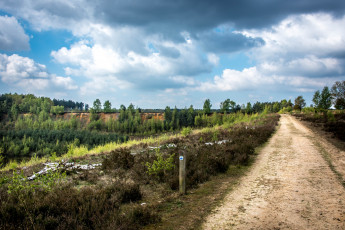 Картинка природа дороги простор