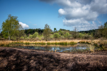 Картинка природа реки озера простор