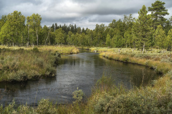 Картинка природа реки озера простор