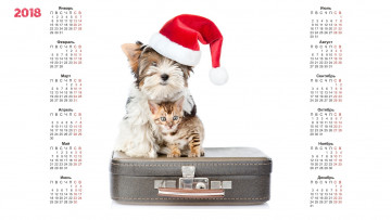 Картинка календари животные белый фон шапка собака