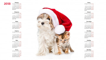Картинка календари животные шапка собака
