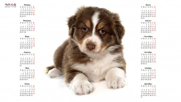 Картинка календари животные собака