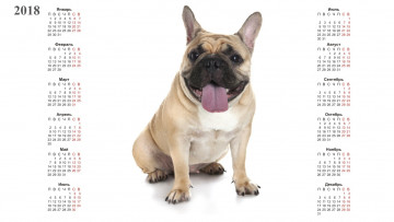 Картинка календари животные собака белый фон