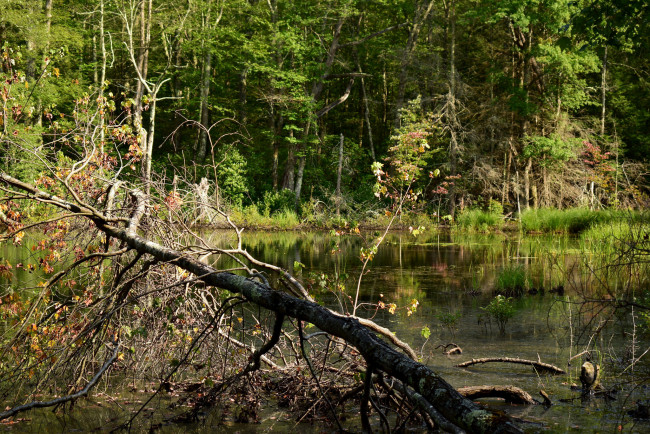 Обои картинки фото природа, реки, озера, простор